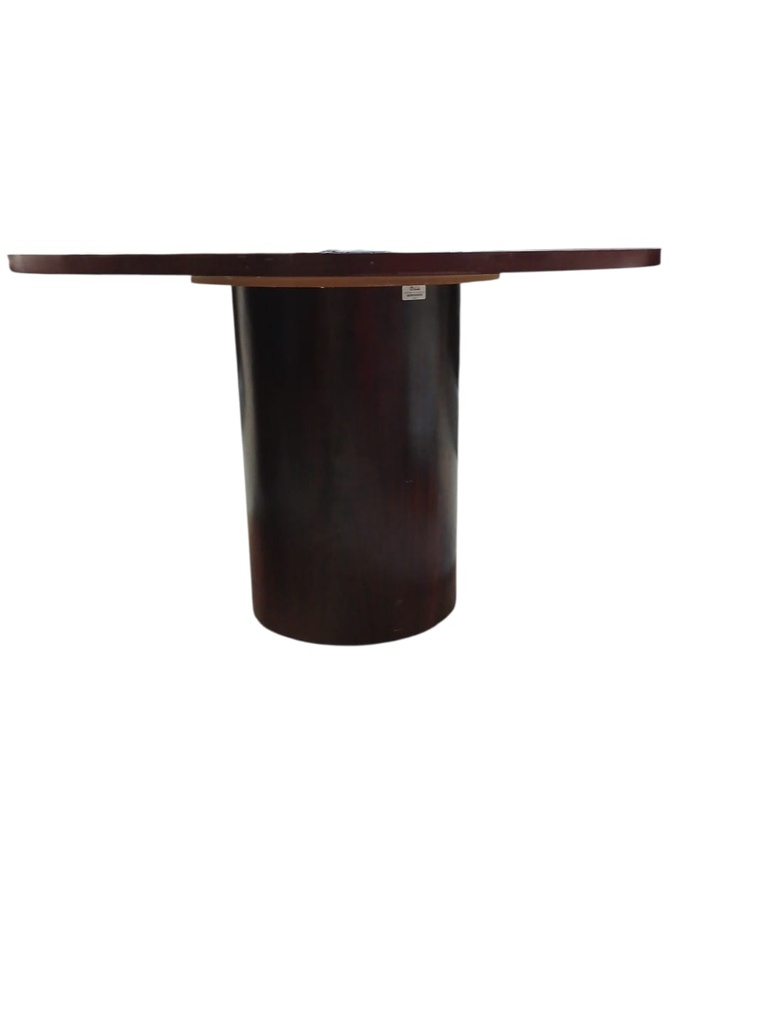 MESA REDONDA DELEGADO