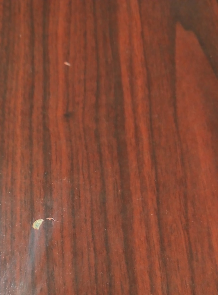 MESA REDONDA DELEGADO