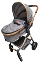 CARRIOLA TRAVEL SYSTEM GRIS 