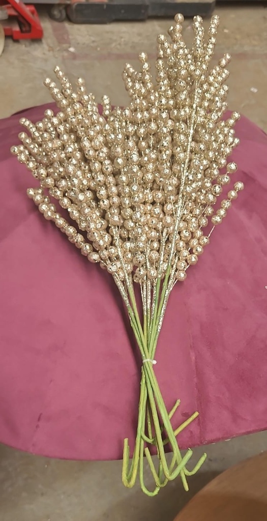SET DE 5 PZ CHAMPAGNE 