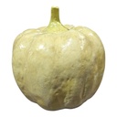 CALABAZA POTTERY